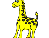 Desenho Girafa pintado por mateus