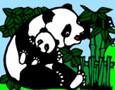 Desenho Mamã panda pintado por giulia.l.v