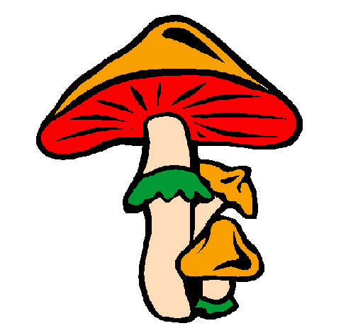 Cogumelos