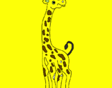 Desenho Girafa pintado por duduca