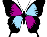 Desenho Borboleta com asas negras pintado por marilia  1 periodo normal