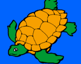 Desenho Tartaruga pintado por isabella