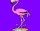 Desenho Flamingo com os pés de molho pintado por ritinha