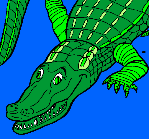 Crocodilo 