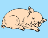 Desenho Porco a dormir pintado por Joaquim Lucas