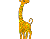 Desenho Girafa pintado por João Emmanuel