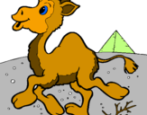 Desenho Camelo pintado por CAMELO