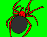 Desenho Aranha venenosa pintado por igor