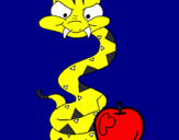 Desenho Serpente e maçã pintado por Diguinho