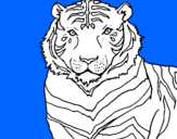 Desenho Tigre pintado por tigre    branco