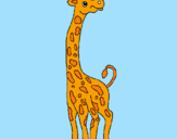 Desenho Girafa pintado por Rafael sperandio