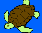 Desenho Tartaruga pintado por josé victor