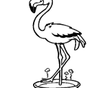 Desenho Flamingo com os pés de molho pintado por ju