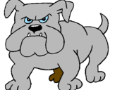 Desenho Cão Bulldog pintado por gui