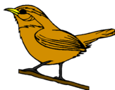 Desenho Pássaro silvestre pintado por livia