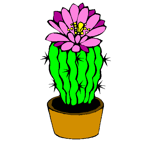 Desenho de Cacto com flor pintado e colorido por Usuário não registrado o  dia 15 de Agosto do 2010