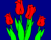Desenho Tulipa pintado por rayane
