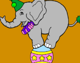 Desenho Elefante em cima de uma bola pintado por Jullia