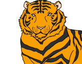 Desenho Tigre pintado por erdnaotar
