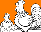 Desenho Galo e galinha pintado por andreia