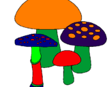 Desenho Cogumelos pintado por anónimo