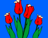 Desenho Tulipa pintado por Karine