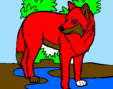 Desenho Lobo pintado por joana