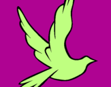 Desenho Pomba da paz a voar pintado por amanda .