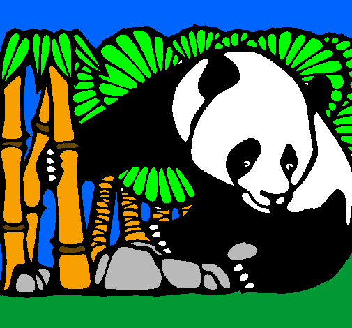 Urso panda e bambu