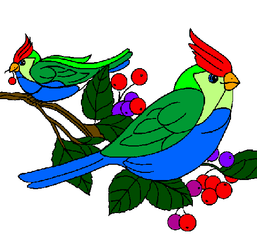 Desenho Pássaros pintado por ARARA AZUL