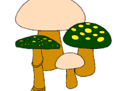 Desenho Cogumelos pintado por beta