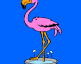 Desenho Flamingo com os pés de molho pintado por rafaela