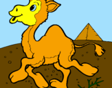Desenho Camelo pintado por YAN 