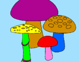 Desenho Cogumelos pintado por natalia boone
