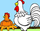 Desenho Galo e galinha pintado por witor