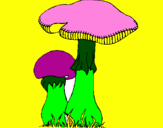 Desenho Cogumelos pintado por marcia