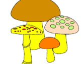 Desenho Cogumelos pintado por nivalda.st