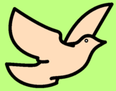 Desenho Pomba da paz pintado por audrey
