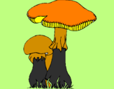 Desenho Cogumelos pintado por jose diogo