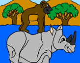 Desenho Rinoceronte e gracioso pintado por PEDRO H