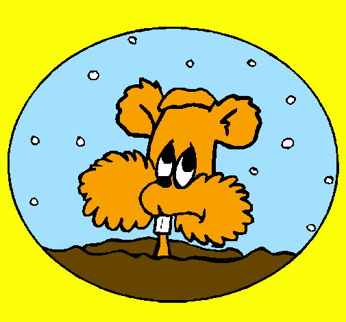 Esquilo em bola de neve