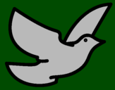 Desenho Pomba da paz pintado por pomba da paz