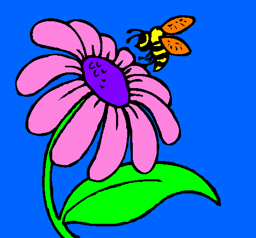 Margarida com abelha