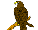 Desenho Águia num ramo pintado por Águia mexicana