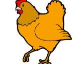 Desenho Galinha pintado por galinha piu piu