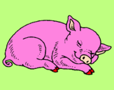 Desenho Porco a dormir pintado por Beatriz
