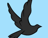 Desenho Pomba da paz a voar pintado por dudexdoonix