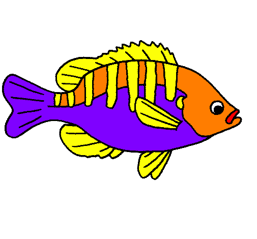 Featured image of post Peixes Coloridos Para Imprimir S peixes mas tamb m outros milhares de animais