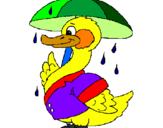 Desenho Pato sob a chuva pintado por beatriz 9  anos