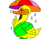 Desenho Pato sob a chuva pintado por Carolina
